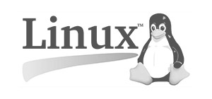 Infraestructura IT con Linux