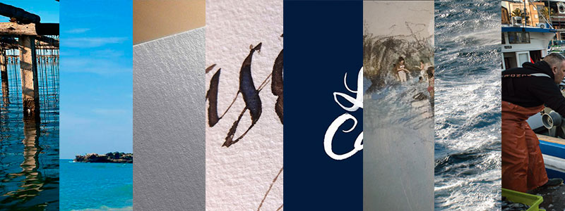 backgroung-diseño-grafico backgroung-diseño-grafico