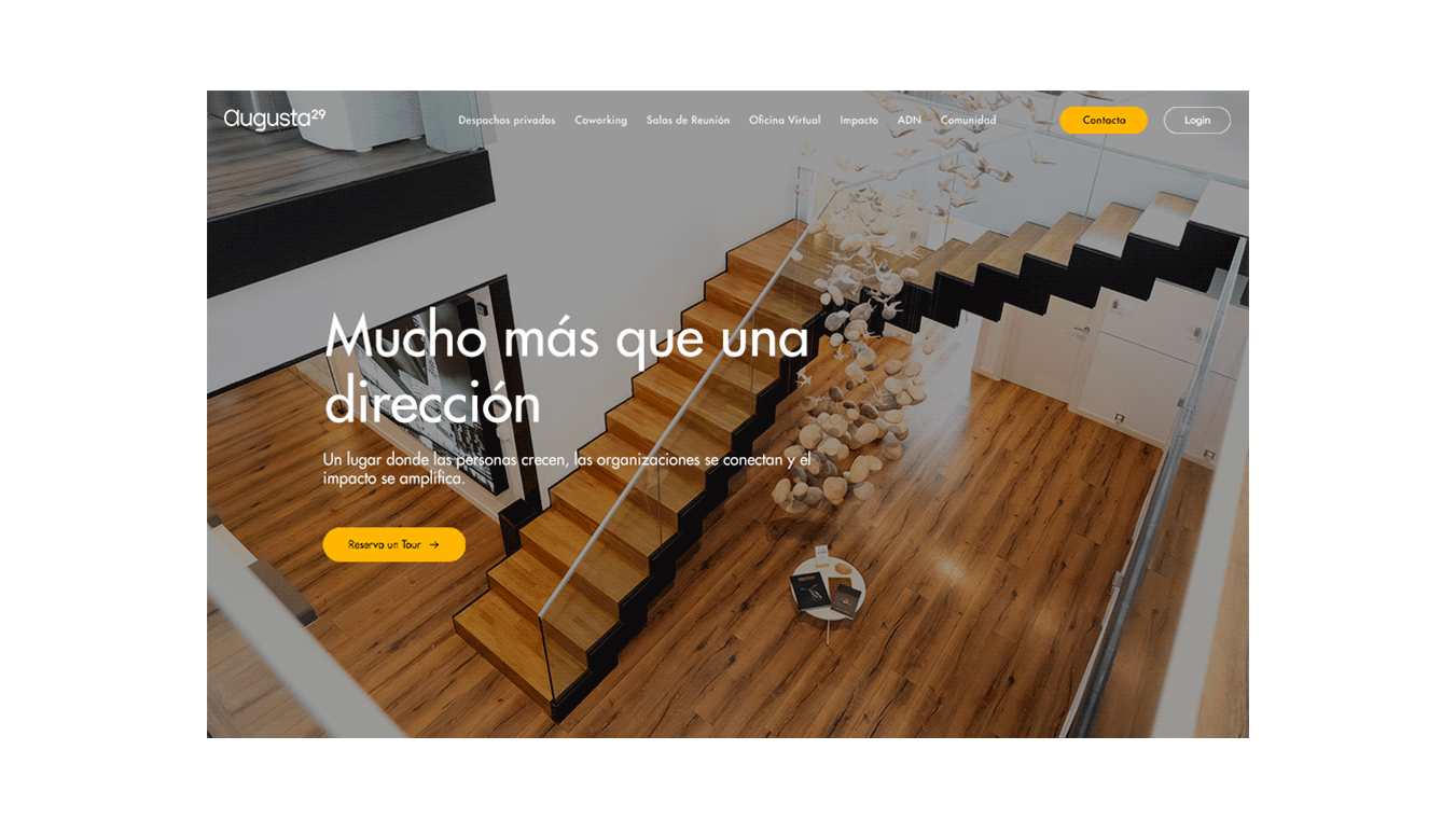 branding diseno desarrollo web augusta29 business center coworking 13