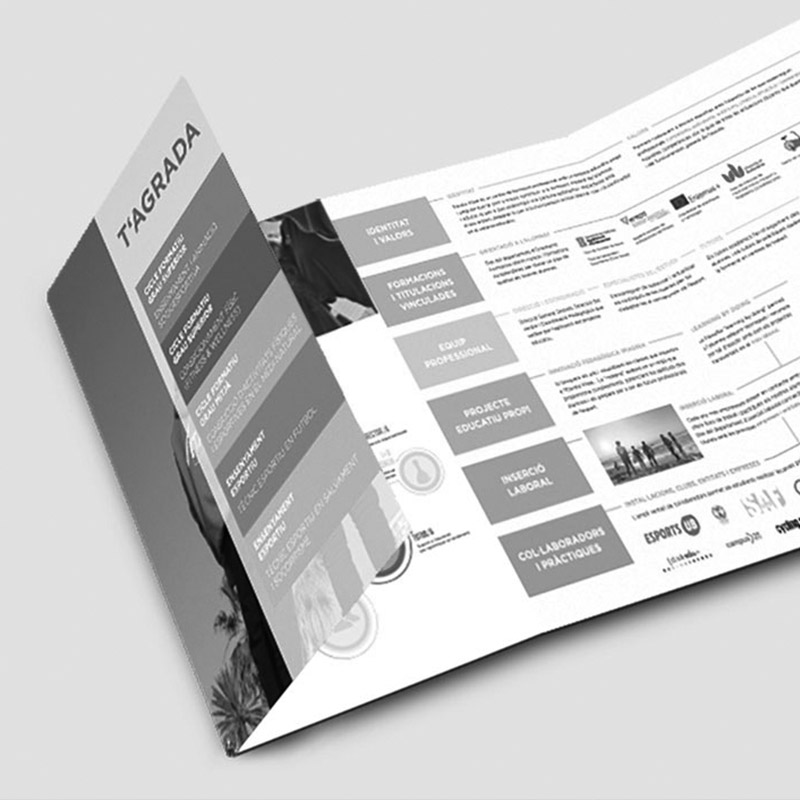 branding diseno grafico vitae