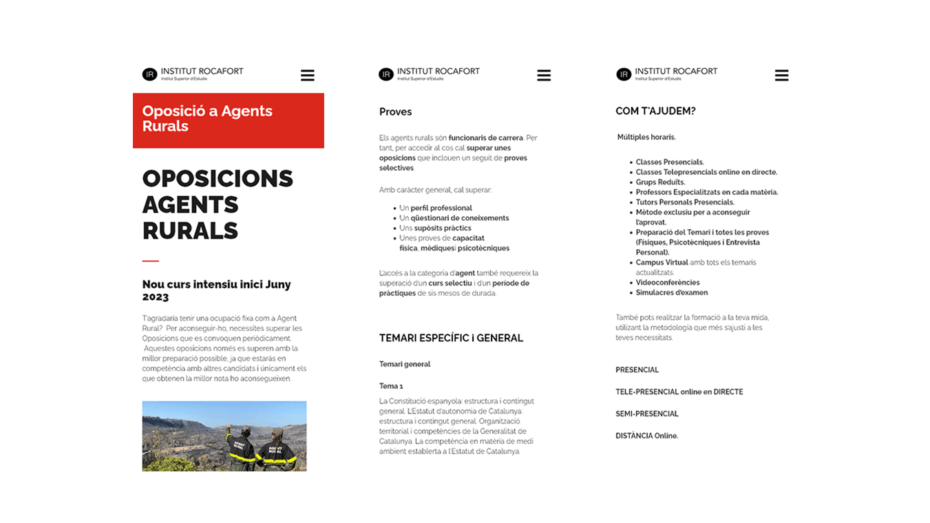 diseno desarrollo web institut rocafort 6