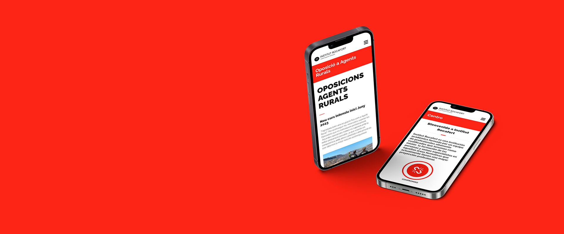 diseno desarrollo web institut rocafort home