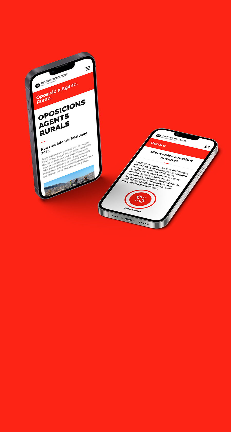 diseno desarrollo web institut rocafort home2