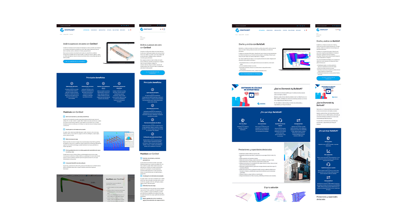 diseno web y desarrollo en drupal 6