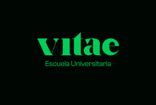 diseno desarrollo web branding vitae escuela universitaria grid