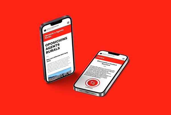 diseno desarrollo web institut rocafort grid