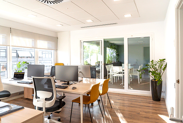 branding diseno desarrollo web augusta29 business center coworking grid 2