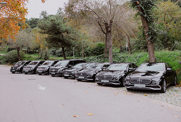 diseno desarrollo web branding luxlimo chauffeurs services grid 2